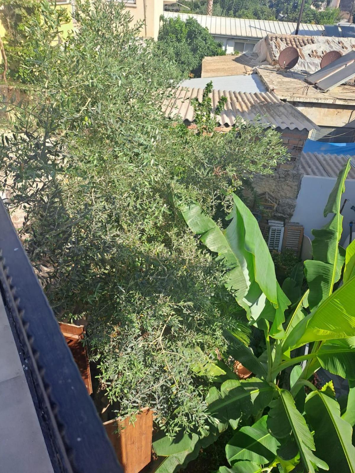 Magic Moon Guest House Gazimağusa Dış mekan fotoğraf