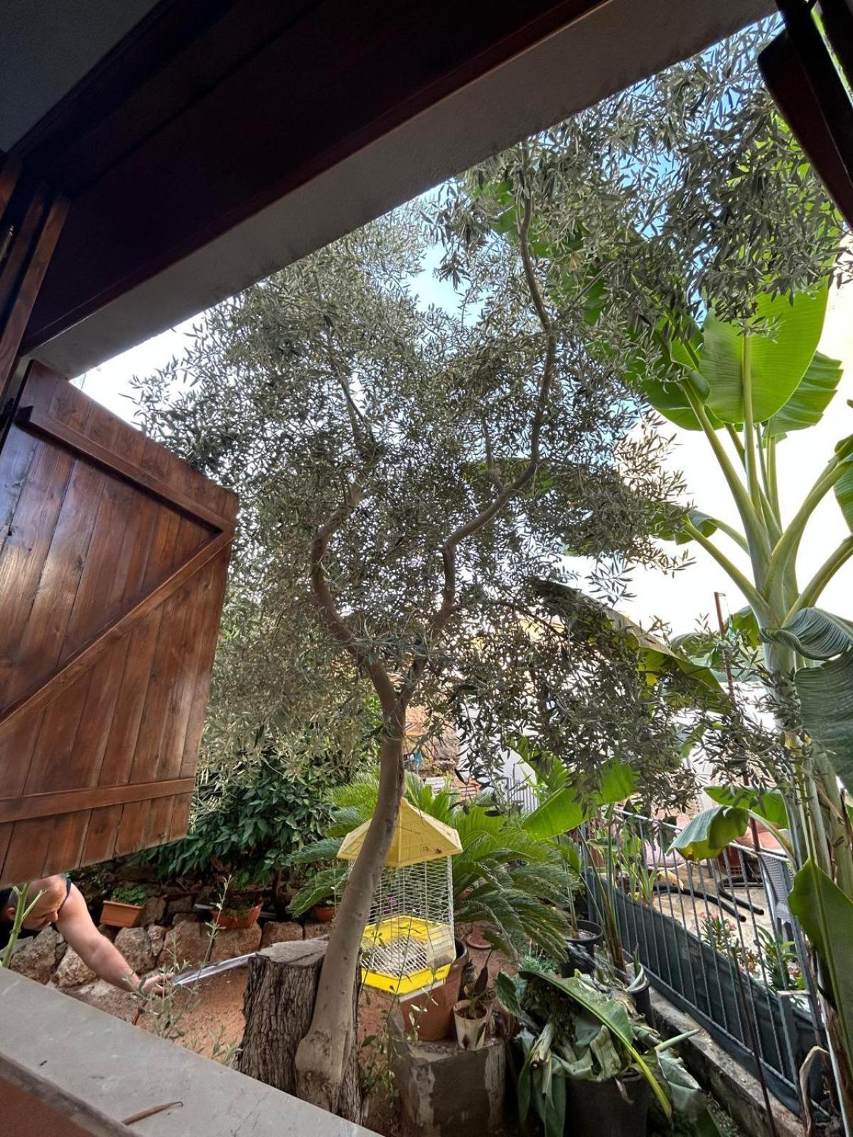 Magic Moon Guest House Gazimağusa Dış mekan fotoğraf