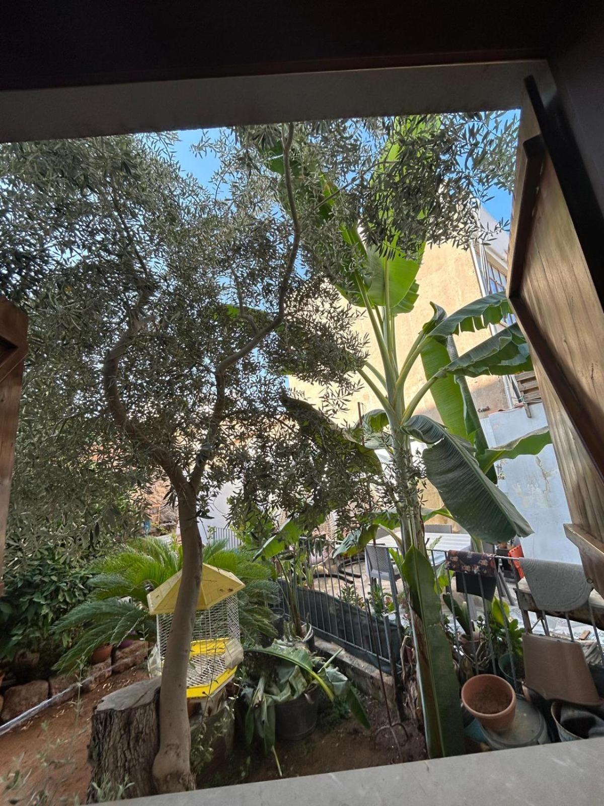 Magic Moon Guest House Gazimağusa Dış mekan fotoğraf